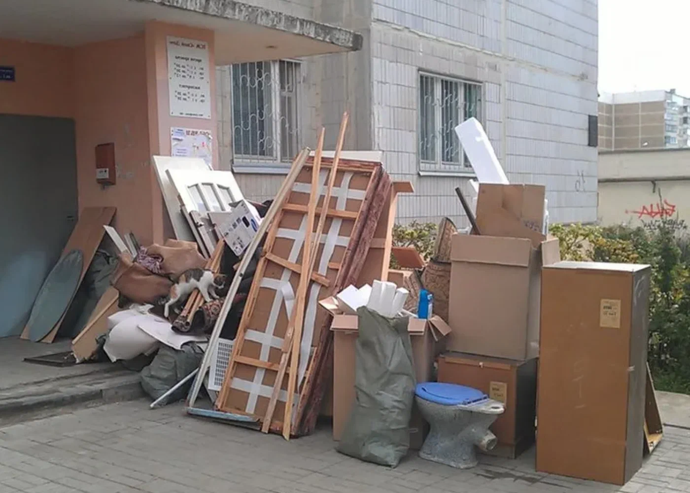 Профессиональный вывоз мусора из квартиры в Челябинске в октябре