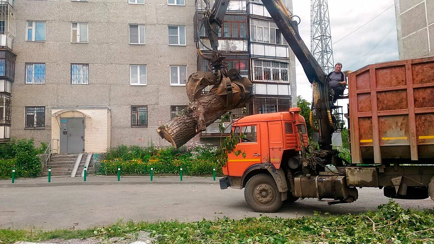 Вывоз спиленных веток и деревьев в Челябинске от ПроМусор: порубочные остатки, утилизация, цена от 2990 руб