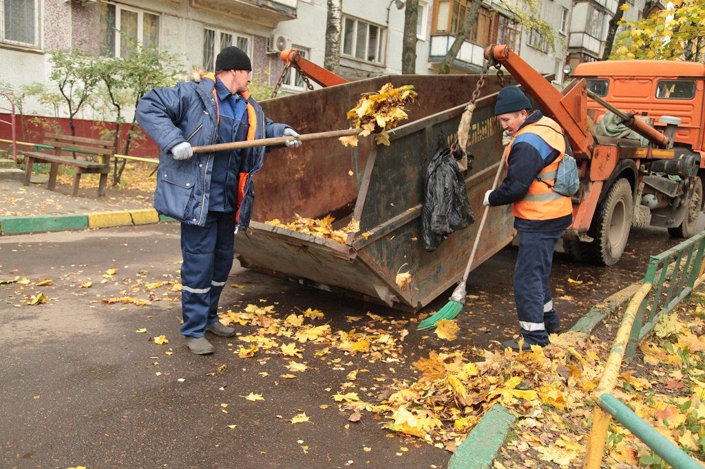 Вывоз опавшей листвы и растительного мусора в Челябинске от ПроМусор – цена от 4640 руб., быстрая уборка и утилизация